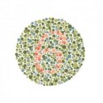 Frey CP200 color vision testing